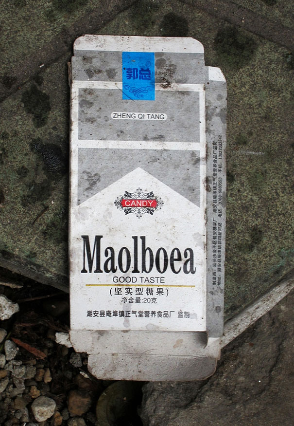 Maolboea