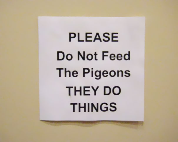 Please Do Not Feed The Pigeons