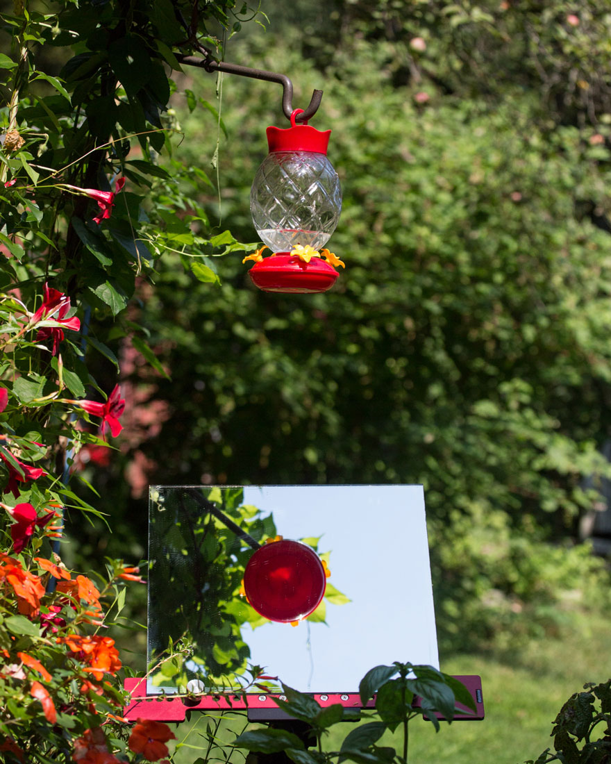 hummingbird-feeder-long-exposure-angled-mirror-9