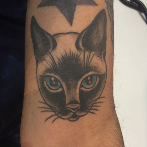 Line art cat tattoo on forearm, with detailed facial features and blue eyes, ideal for cat lovers.