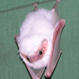 mcfarlandolive8 avatar