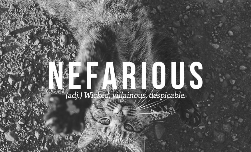 33 Beautiful Words That You Need To Know