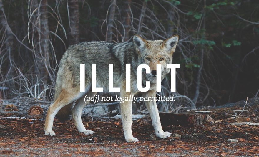 33 Beautiful Words That You Need To Know