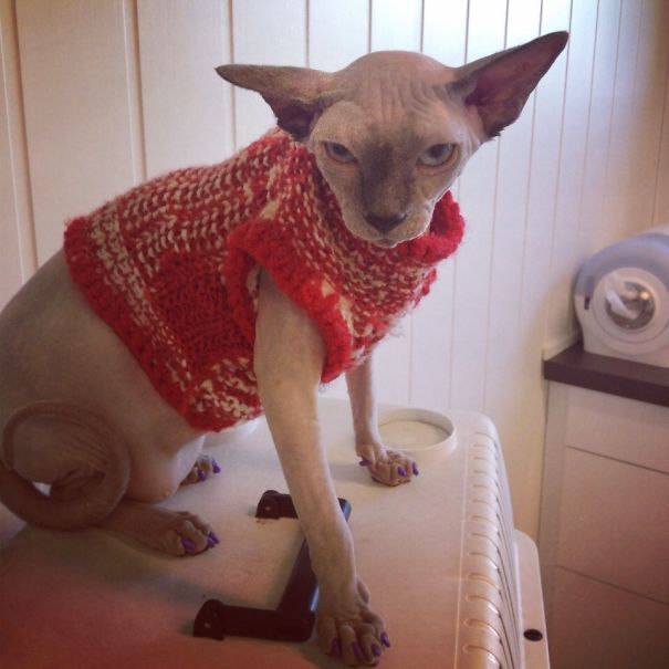 Not Pleased.. Not Pleased At All!..