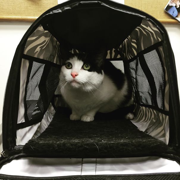 I Am Really Better Inside Here, Thank You Very Much.