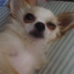 raquelutnehmer avatar