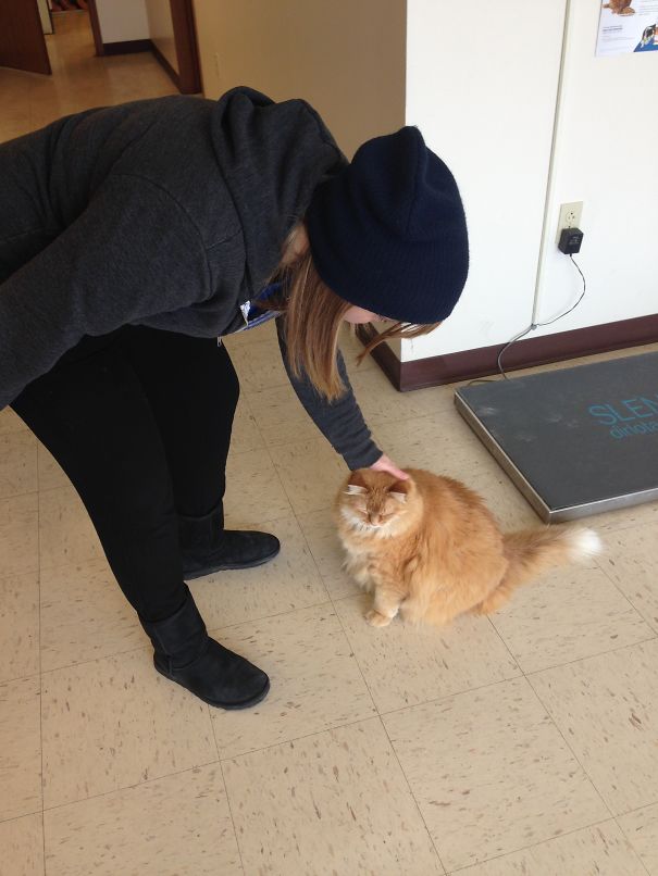 Carmel Likes These Visits! Pats On Da Head!