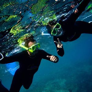 sandraleevella avatar