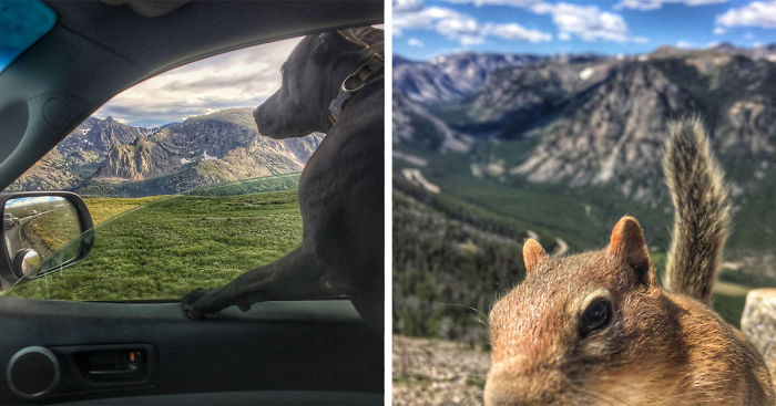 I Live In My Truck With My Dog And Travel Across The Country