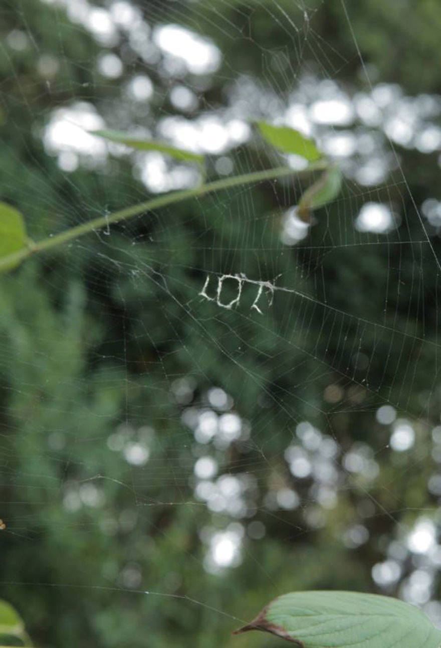 After A Rough Day, My Friend Found This Written On A Spider Web After A Rough Day, My Friend Found This Written On A Spider Web