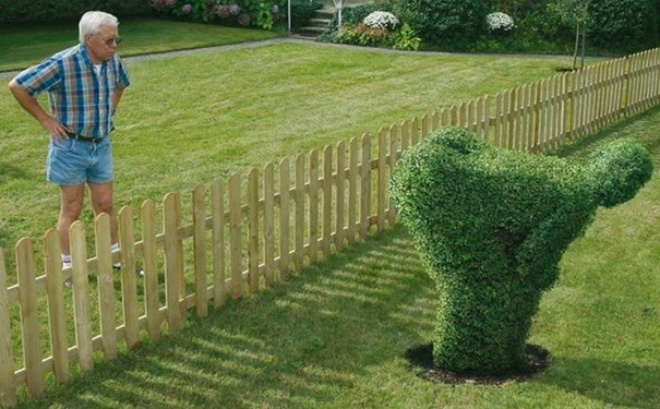 This Happens When You Live Next Door To Edward Scissorhands