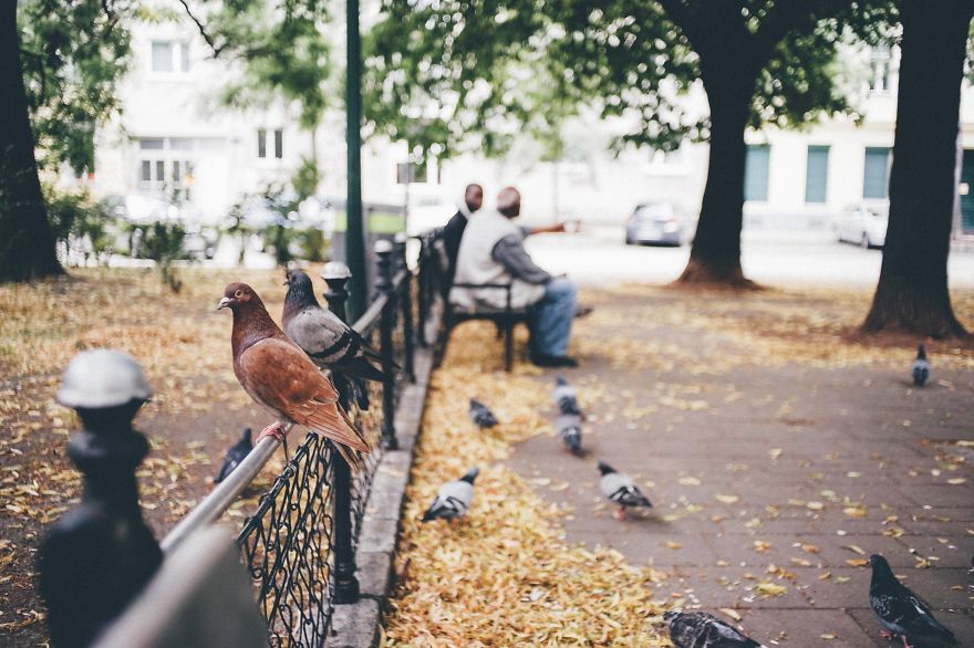 I Travel And Photograph Life On Planet Earth