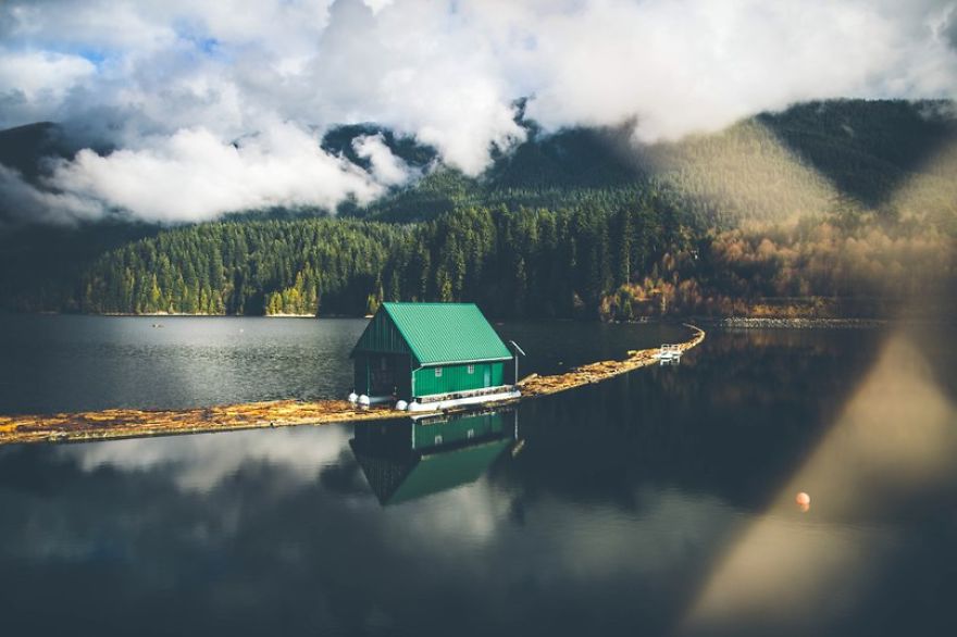 Nature Obsession: My Favorite Photos Of Nick Carnera