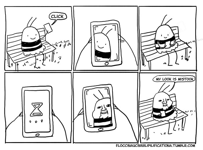 Socially Awkward Bee