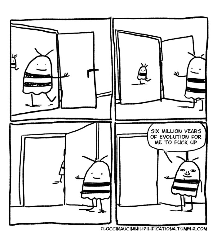 Socially Awkward Bee