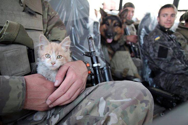 Soldier With A Cat