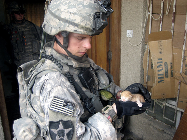 Soldier With A Kitten