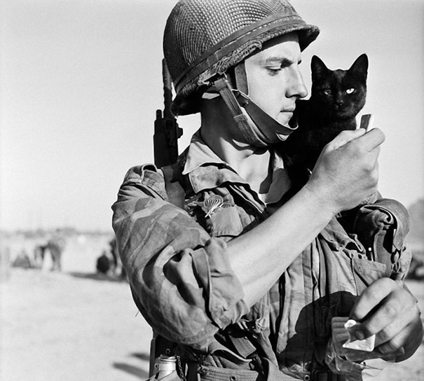 Soldier With A Cat