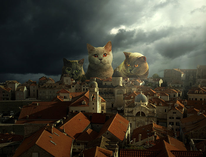 I Create Surreal Worlds For Animals To Live In Without Cruelty