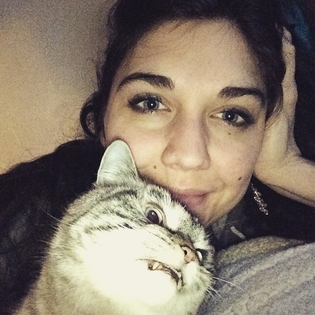 vampire-angry-cat-loki-27 vampire-angry-cat-loki-27