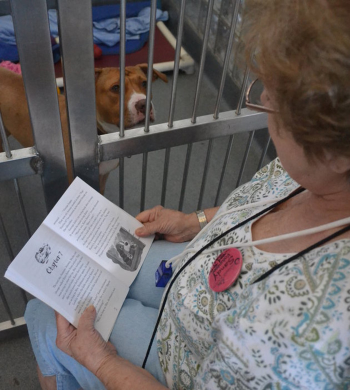 woman-reads-books-shelter-dogs-12 woman-reads-books-shelter-dogs-12
