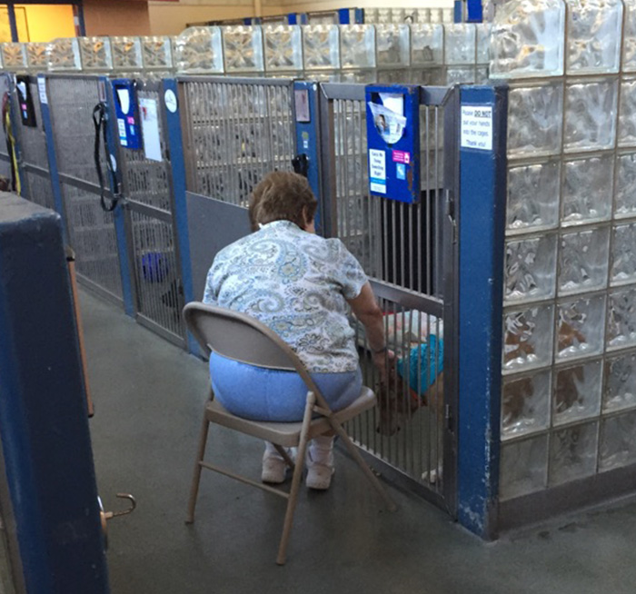 Woman Reads To Old Shelter Dogs To Make Them Feel Less Lonely