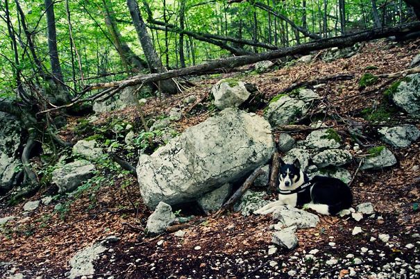 On The Way On Triglav, Slovenia Instagram: Primovski, #shekla