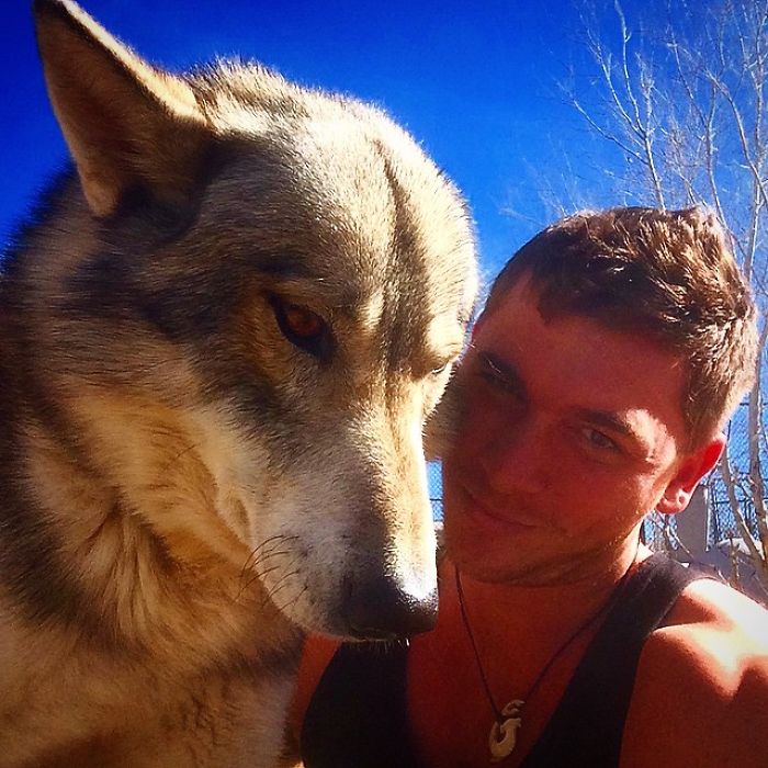 I Discovered My Inner Wolf At Wolf Mountain, California