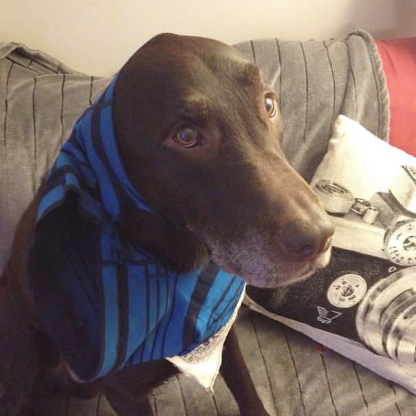 Undies? ... Nope Didn't See Them !