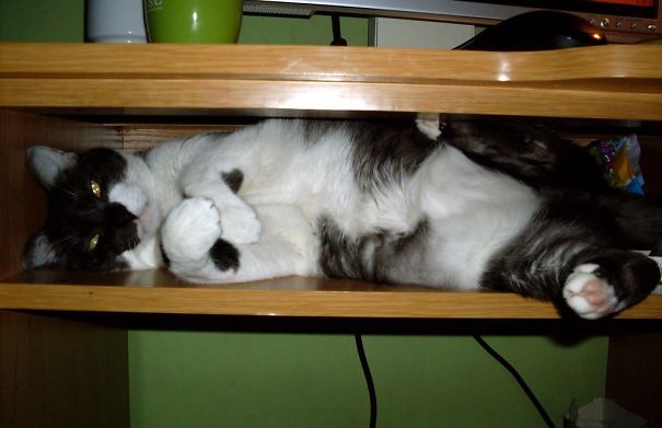 Keyboard? Never Heard About Any Keyboard...