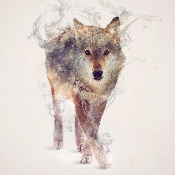 Wild Animals, Smoke And Nature Merged In My Double Exposure Photos
