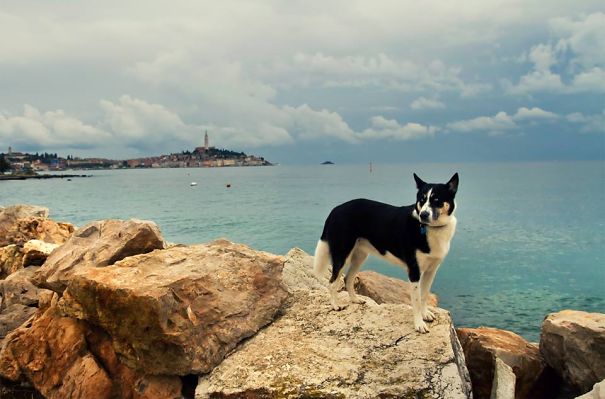 Shekla And Rovinj, Croatia, More On Instagram: Primovski, #shekla