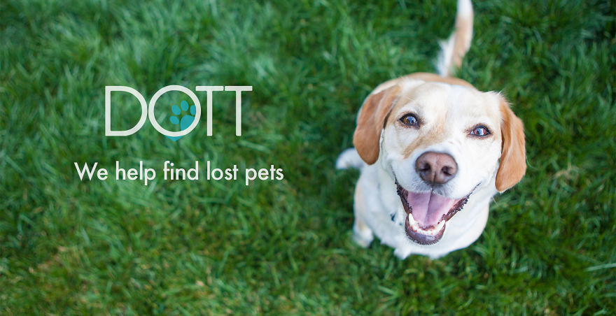 Dott: The Smart Dog Tag For Pets Now On Kickstarter Dott: The Smart Dog Tag For Pets Now On Kickstarter