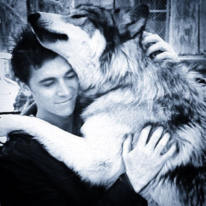 I Discovered My Inner Wolf At Wolf Mountain, California I Discovered My Inner Wolf At Wolf Mountain, California