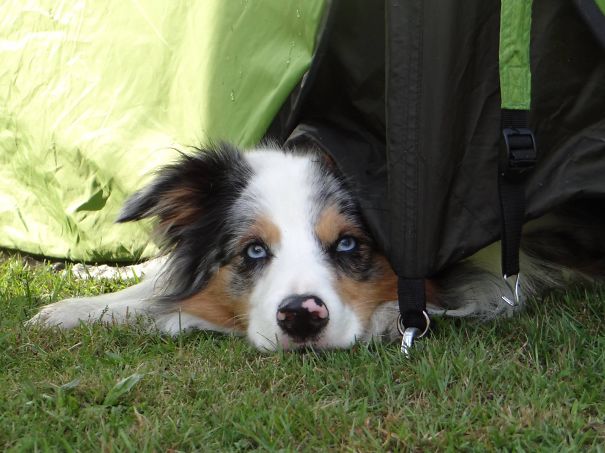 Peeking What's Happening!