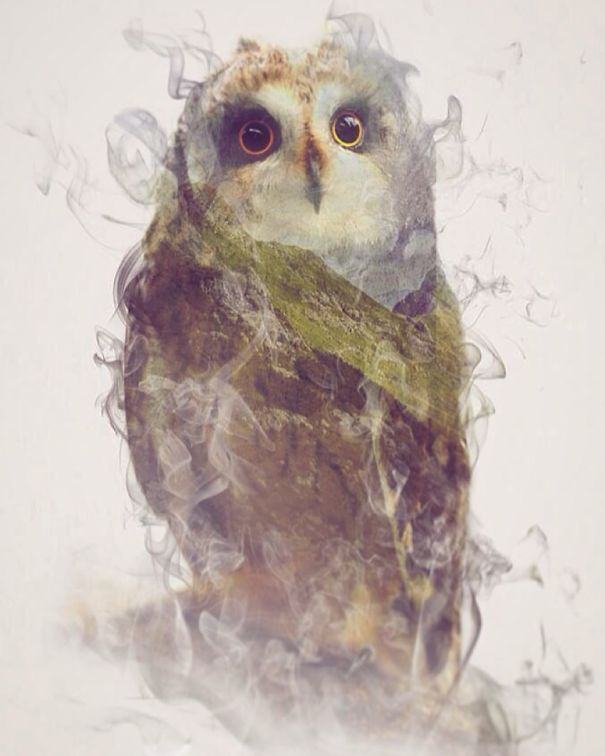 Wild Animals, Smoke And Nature Merged In My Double Exposure Photos Wild Animals, Smoke And Nature Merged In My Double Exposure Photos