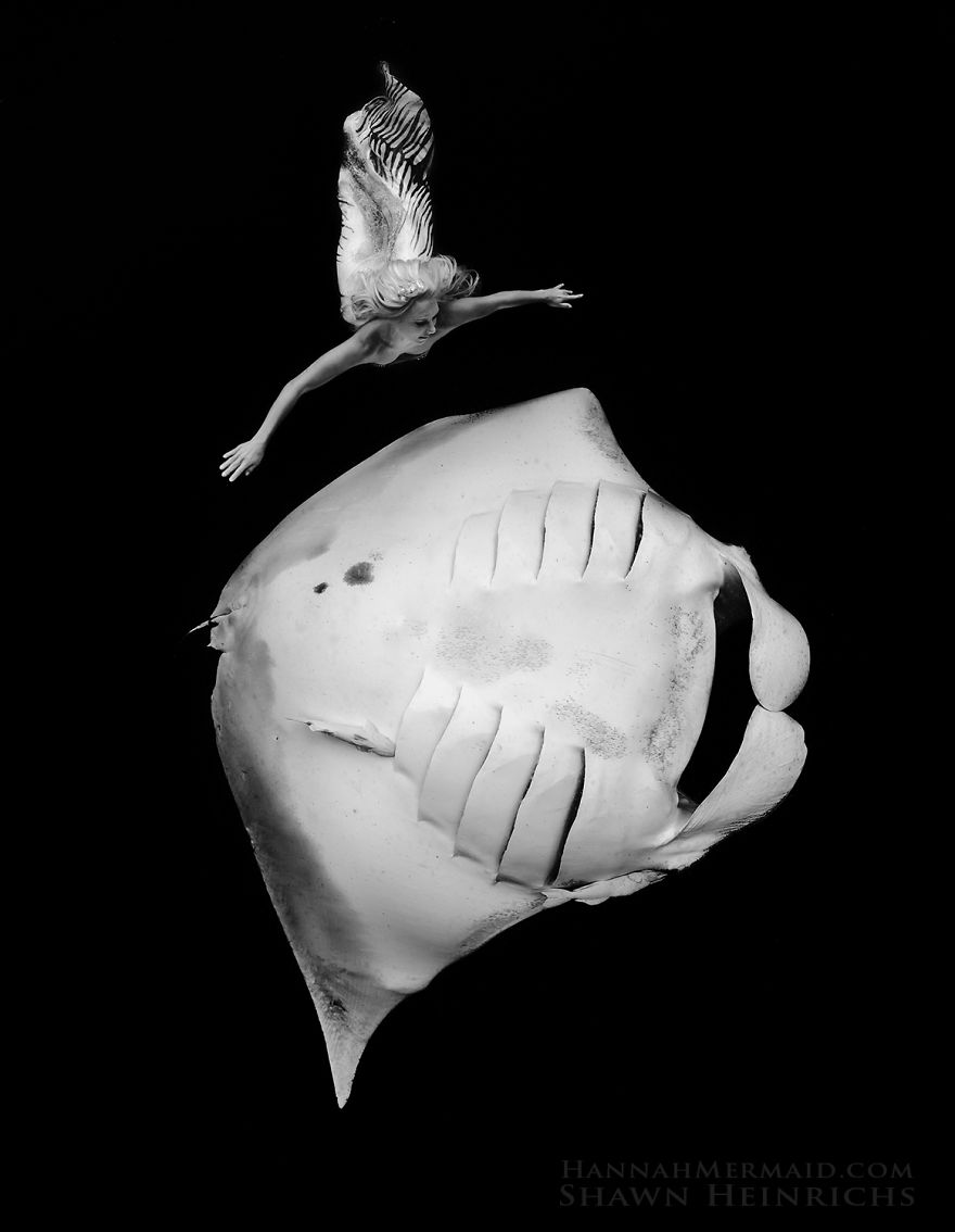 Mermaid swimming with a large fish, showcasing her tail and holding breath underwater for two minutes. Mermaid swimming with a large fish, showcasing her tail and holding breath underwater for two minutes.