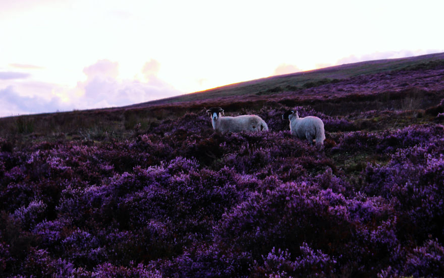 19 Reasons To Visit The Peak District 19 Reasons To Visit The Peak District