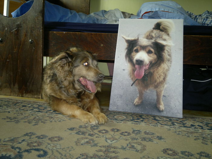 Laughing About Yourself Laughing Gives Me Laugh :)