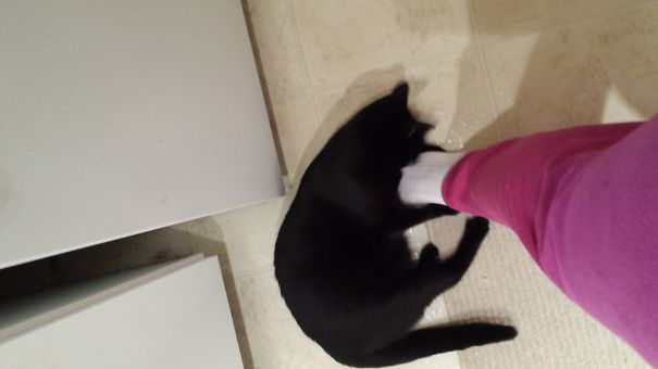 I Didn't Need That Foot, I Have Another.