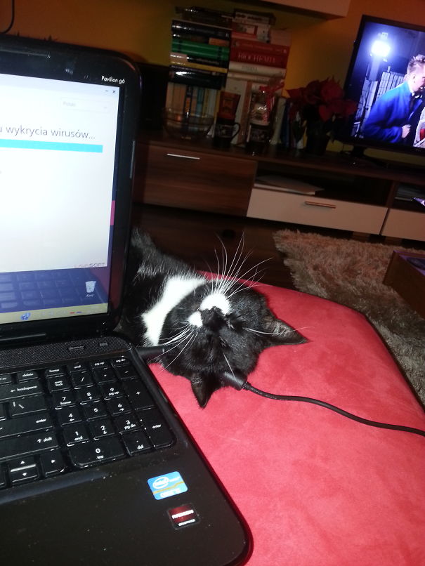 Just Leave That Laptop Human Slaver.