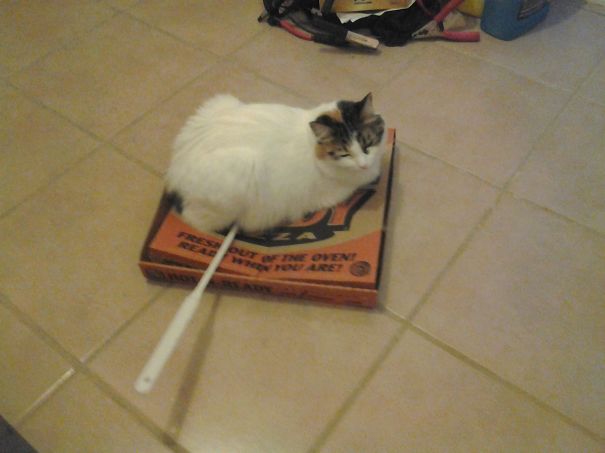 Fresh Out Of The Oven!