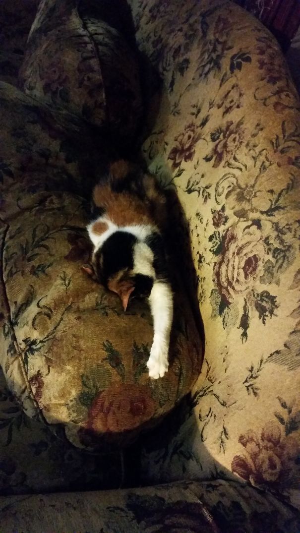 I'm Not Tired, I'm Not Tired, I'm Not Ti....