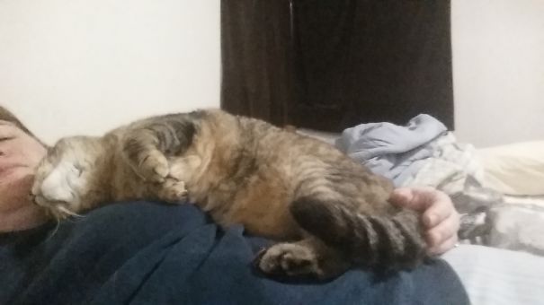 I'm Gonna Go Ahead And Take My Half From Right... Here