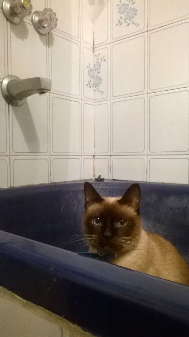 Nothing Like A Warm Bath After A Hard Day ;)