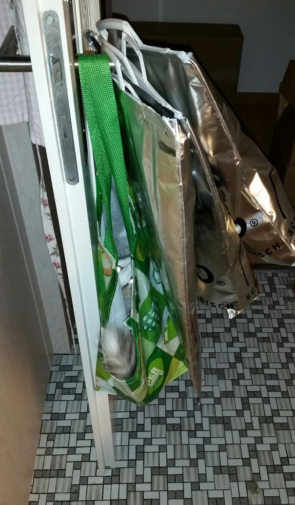 Nobody Will Ever Find Me Here