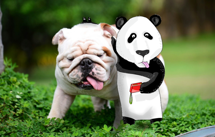 I Add Doodles To People's Instagram Photos (Part 2)