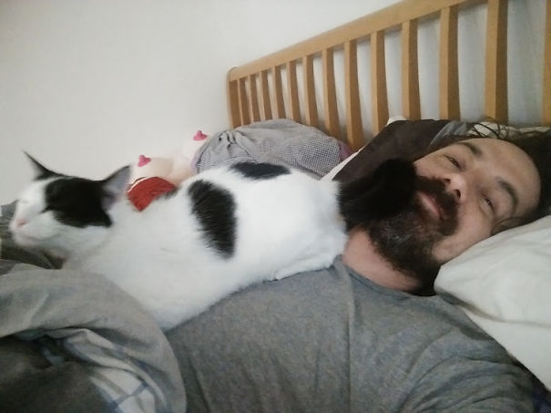 Moopanther Sits Where She Likes