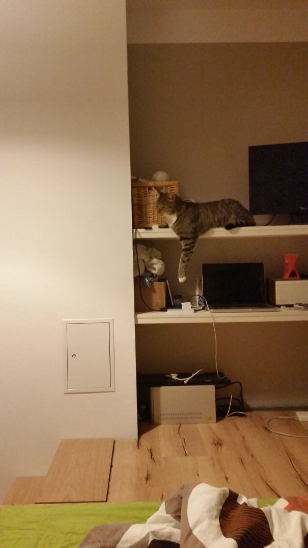 You Build That For Me, Right?!