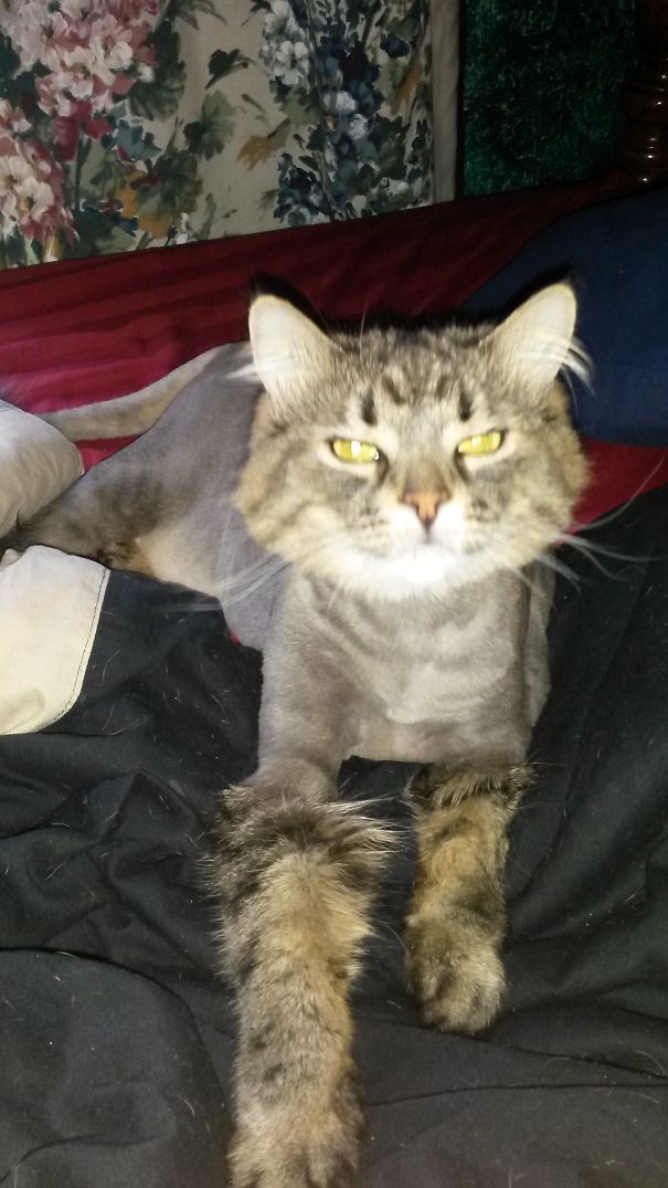 Halow, You Sleeps Here?